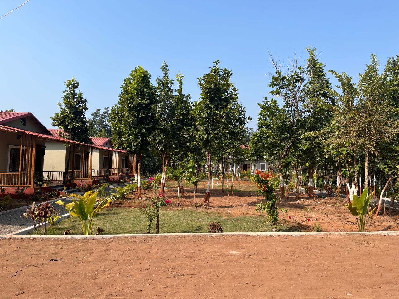 Luxury resort pool with palm trees at sunset